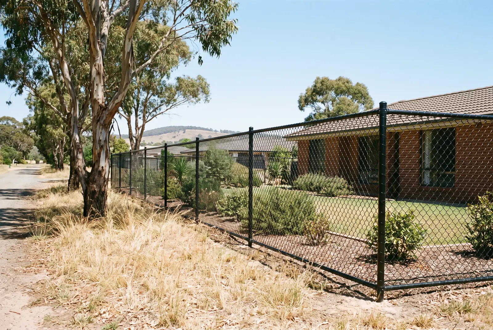 Black PVC-coated chain wire fence